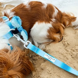 Cocopup London Seaside Shimmer Hundkoppel