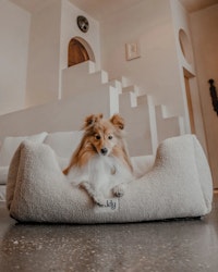By Teddy The Cosy Bed, Hundsäng