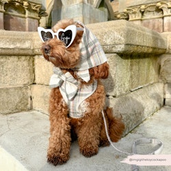 Cocopup London Oxford Plaid Hundkoppel