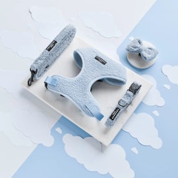 Cocopup London Teddy Daydream Hundkoppel