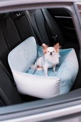 Porto Blue Bilstol till hund