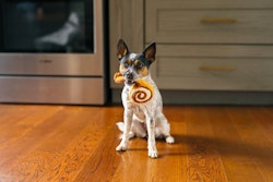 Cinnamon Roll Hundleksak
