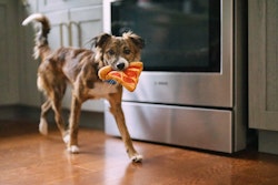 Pup-a-roni Pizza Hundleksak