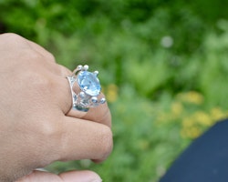 Ring of Light