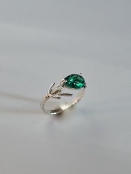 Medelpad-Ring