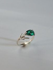 Medelpad-Ring