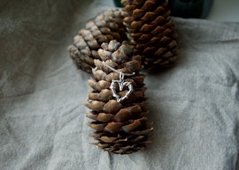 Heart of Silver