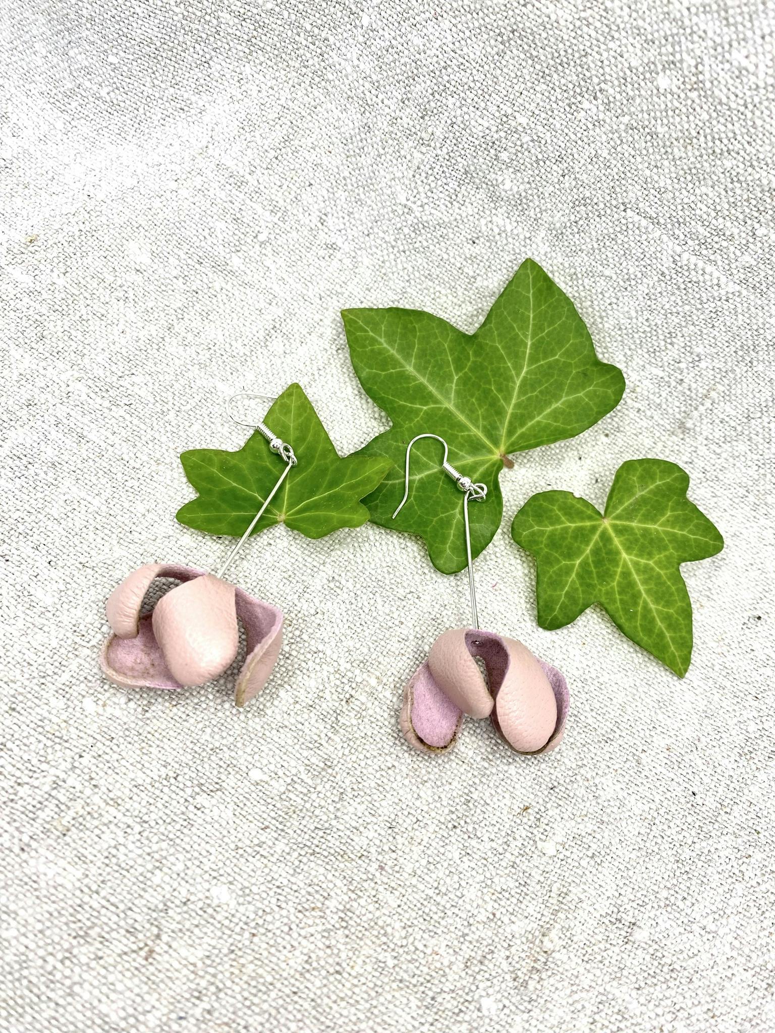 Rosa "Magnolia"