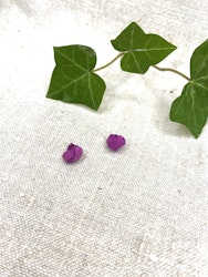 Violett "Knut"
