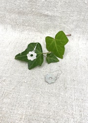 Silvrig "Flora"