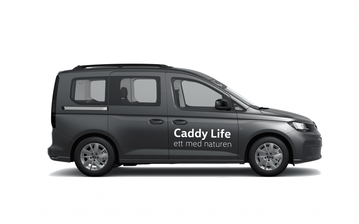 Caddy - Demodekor