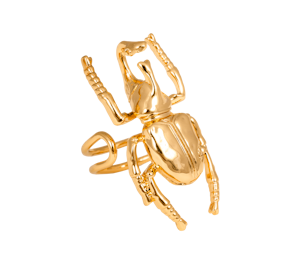 Din ring: Beetle Gold Ioaku!