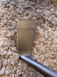 Mashie Forgan Scotia nr 638