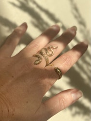 MAMBA ORM RING I MÄSSING