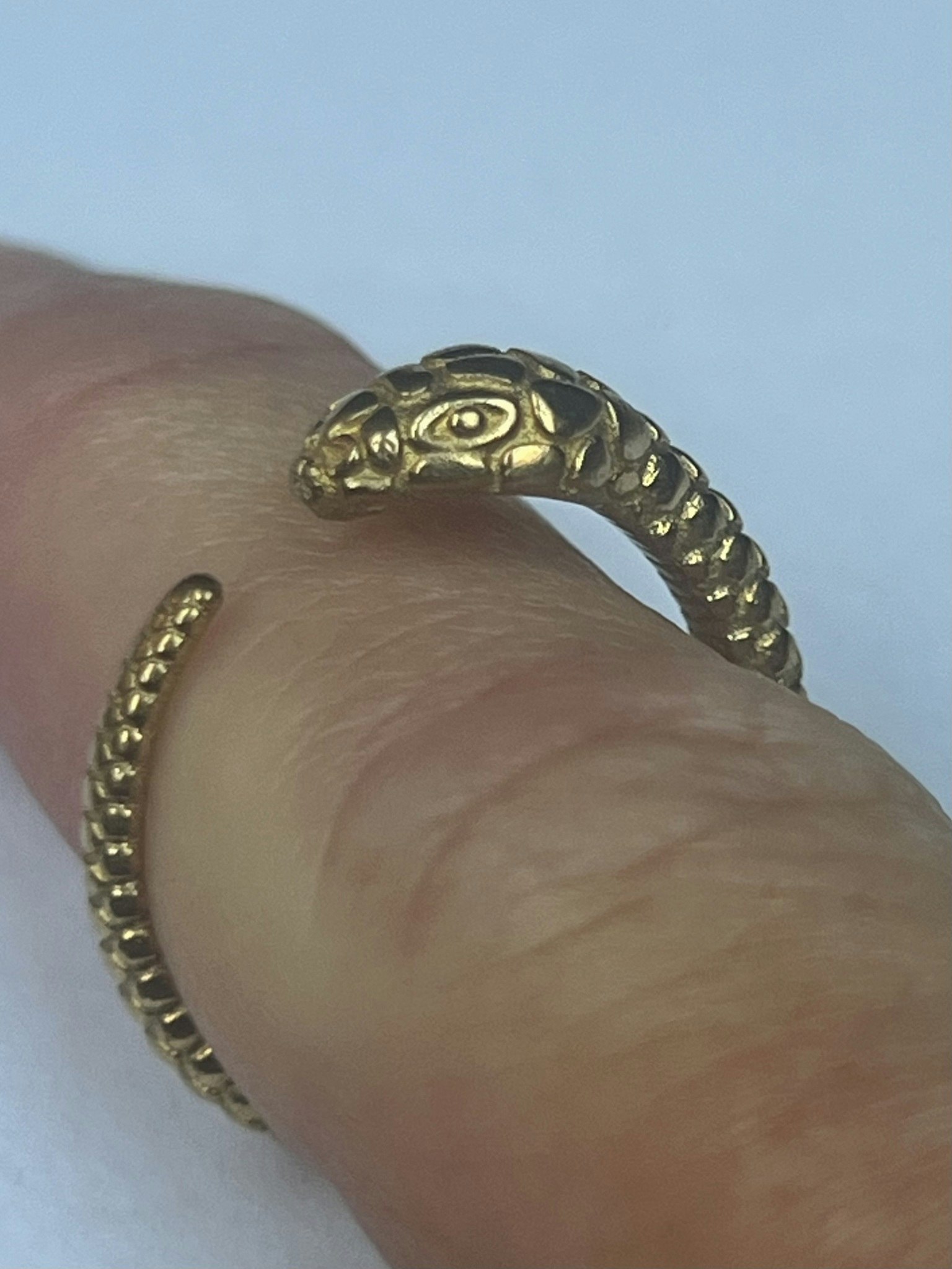 OUROBORO ORM RING I MÄSSING