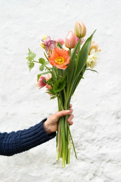 Wilthorn blomster & blandat