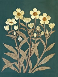 Vita blommor
