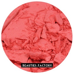 Beauties Factory Blush - 005
