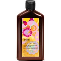 Amika Hydrate Conditioner 300ml