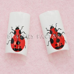 70st Airbrushed Franska Tippar - Ladybird