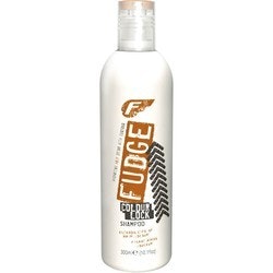 Fudge Color Lock Shampoo