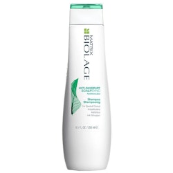 Matrix Biolage Scalpsync Anti-Dandruff Shampoo 250ml