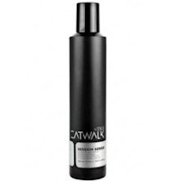 Tigi Catwalk Session Work It Hairspray