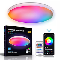 Smart home lighting WIFI-Bluetooth Remote control 30W