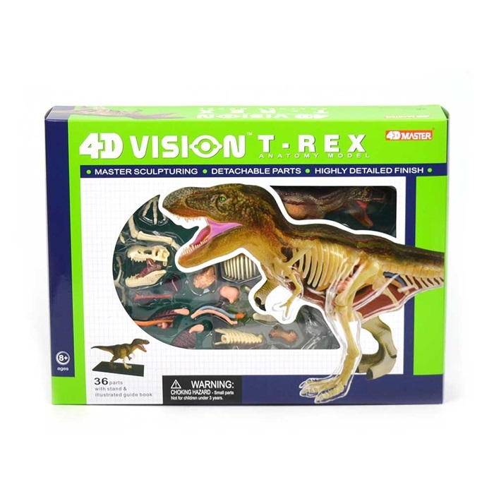 Stor anatomisk 4D modell av en t-rex dinosaurie