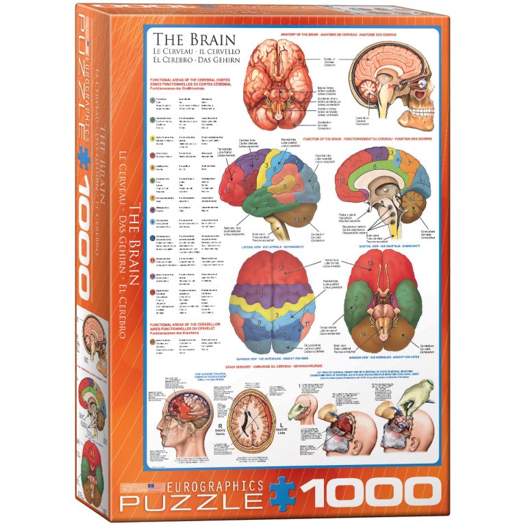 Vetenskaps-Pussel 1000 bitar, The Brain, Hjärnan