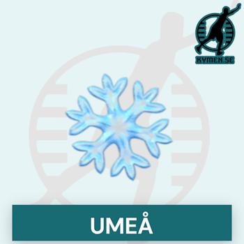 Umeå Vinter 2023/2024