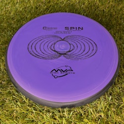 Electron Spin