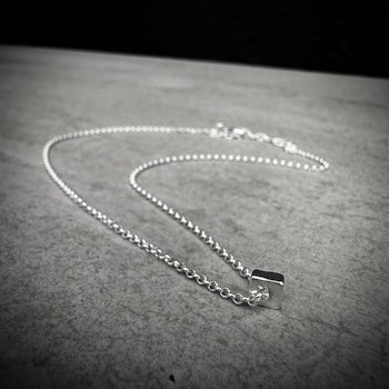 Silverhalsband Ice