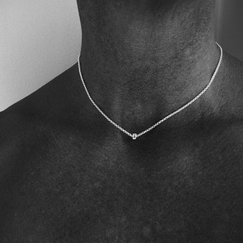 Silverhalsband Ice