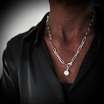 Silverhalsband Shine