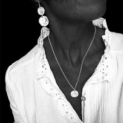 Silverhalsband Raw Plate