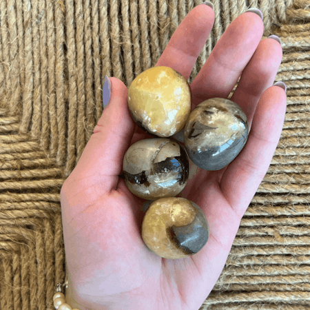 Cuddle stone Septarian