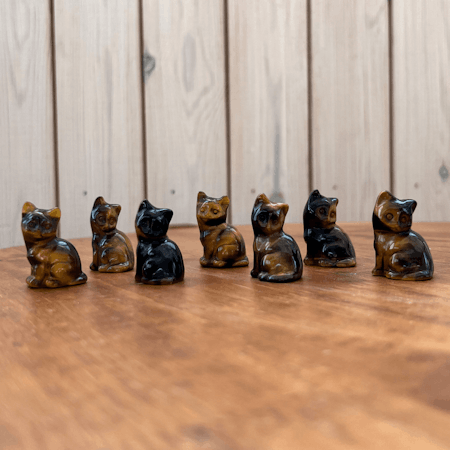 Katt Tigeröga