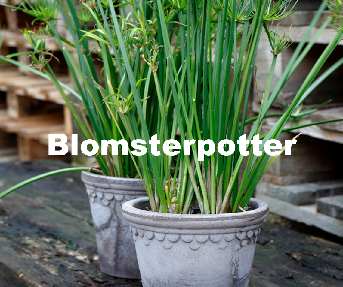Blomsterpotter - Swift demo-no