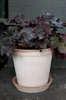 Helena krukke (14 cm) - Bergs Potter