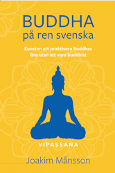 Buddha på ren svenska - Konsten att praktisera Buddhas lära utan att vara buddhist