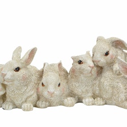 Kaniner på rad