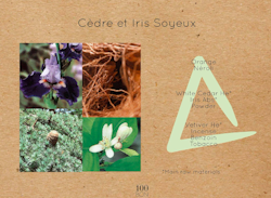 Parfumé Cèdre & Iris Soyeux 100BON, 50ml
