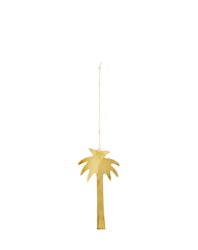 Hänge Palm