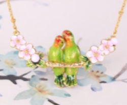 Halsband Papegojor