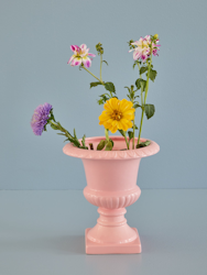 Blomkruka Pokal