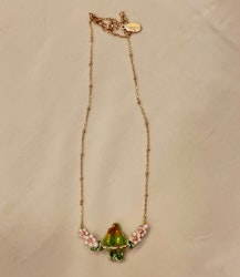 Halsband Papegojor