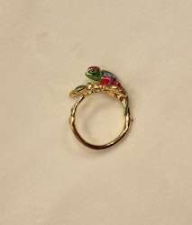 Ring Gecko