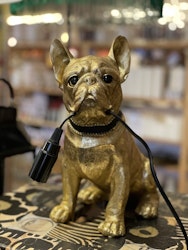 Hundlampa