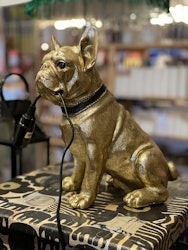 Hundlampa